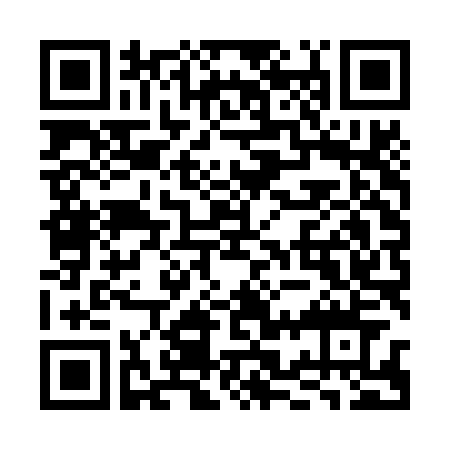 qr code leyestest android